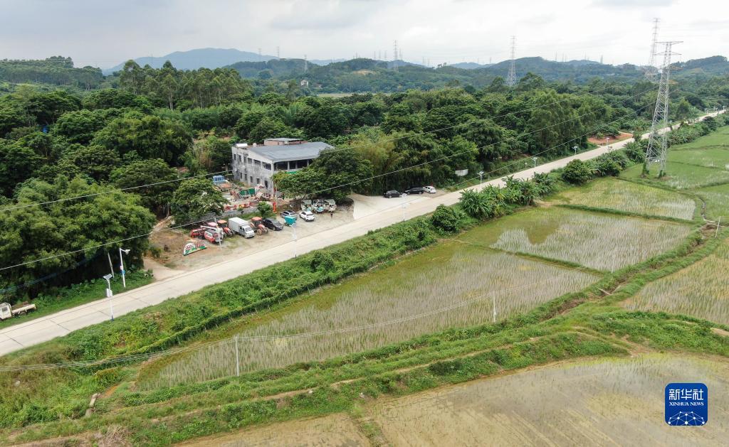 手机白菜娱乐游戏网大全